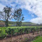 Photo taken by Scott L