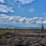 Photo taken by Katarzyna W