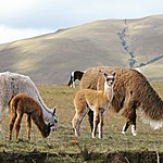 Photo taken by Marcia G