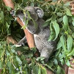 Photo taken by William F