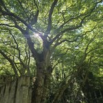 Photo taken by Doug P