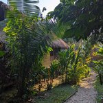 Photo taken by Erica A