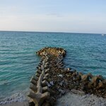 Photo taken by Carly M