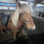 Photo taken by Debbie C