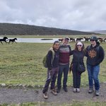 Wild Horses couldn't drag us away | Photo taken by Peter S