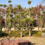 Photo taken by Zulhelmi R