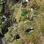 Photo taken by Christina L