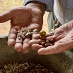 Photo taken by Sharon J