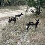 Photo taken by rhonda c