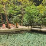 Photo taken by Dawne D