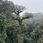 Photo taken by Mandy F