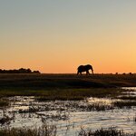 Photo taken by Tom B