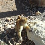 Photo taken by WILLIAM B