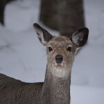 Photo taken by Iain M