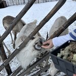 Photo taken by Beth M