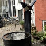 Photo taken by Meryl F