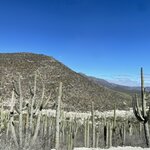 Photo taken by Pacita D