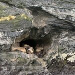 Photo taken by Amber S