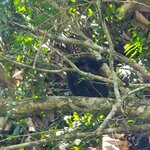 Photo taken by Lisa R