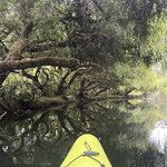 Photo taken by Rob G