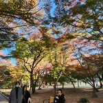 Photo taken by Zulhelmi R