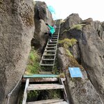 Photo taken by Janice R