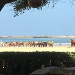 Photo taken by Cynthia T