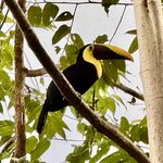 Photo taken by Ben B