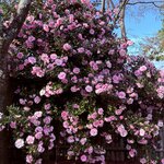 Photo taken by Glenda F