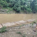 Photo taken by Joyce C