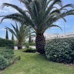 Photo taken by Doug A