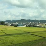 View from train | Photo taken by peter e