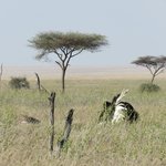 Photo taken by Kristin M