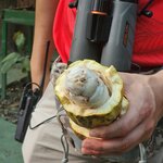 Photo taken by Touraj K