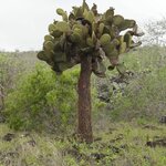 Photo taken by Patricia D