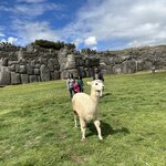 Photo taken by Saba D