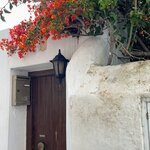 Photo taken by Anita H