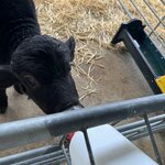 Photo taken by Ingenie D