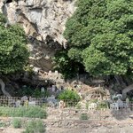 Photo taken by Sandra B