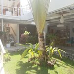 Photo taken by Tracye P