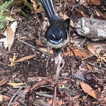 Photo taken by Joan B