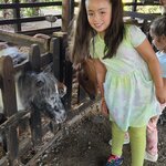 Photo taken by Melissa C