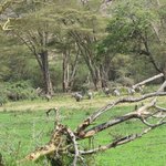 Photo taken by Kristin M