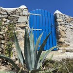 Photo taken by Kendall S