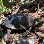 Photo taken by Harshida P