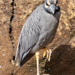 Photo taken by mindy n