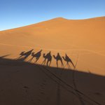 Riding camels  | Photo taken by Rose A
