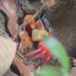 Photo taken by Darcy M