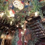 Photo taken by Shanna H