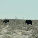 Photo taken by Nigel R